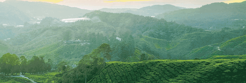 <b>һȦ��������</b>